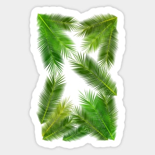 COCONUT LEAF Sticker